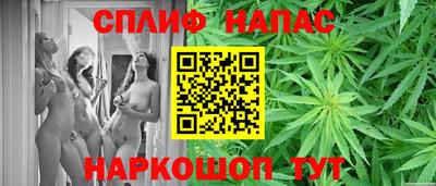 mdpv Заводоуковск